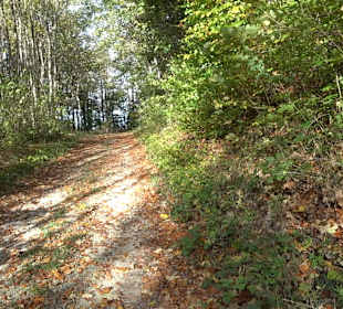 Wandertour "Rund um den Rossberg" Öschingen