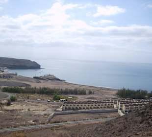 Oasispark - Kamelreiten