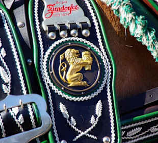 Brauerei Zirndorf 6 Rheinländischen Kaltblütern