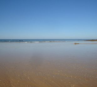 Praia da Falesia (Strand 15min vom Hotel RIU Palace Algarve)