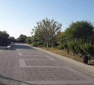 Der Strandweg direkt an den Strandbars vorbei