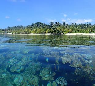 Velidhu aus dem Wasser