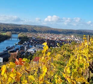 Herbst - Novemberwanderung