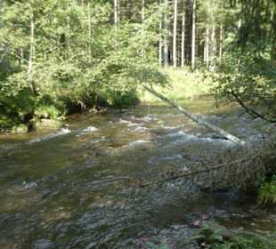 Von Bayerisch Eisenstein nach Ludwigsthal