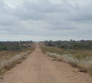 Strasse im Amboseli