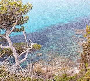 Höhlen von Arta/Cuevas de Artá