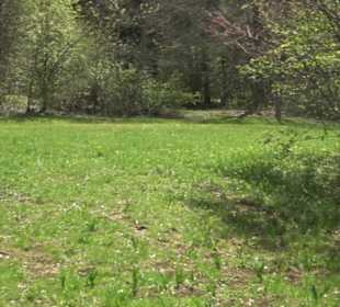 Rundweg am Beutenlay