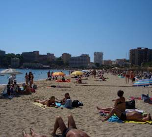 Strand Palma Nova (Hotel-Shuttle)