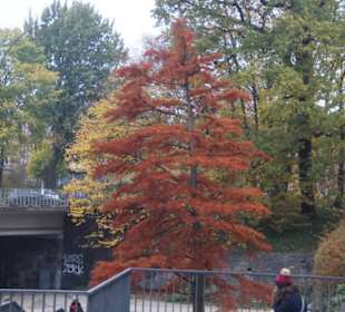 Parkanlage Planten un Blomen