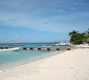 Baccardi Insel "Saona"