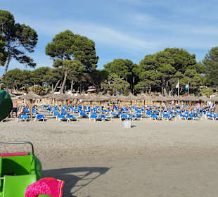 Platja de Tora