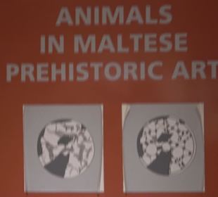 National Museum Of Archaeology