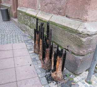 Altstadt Neustadt Weihnachtsmarkt