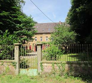 Auf dem Weg zur Walddusche