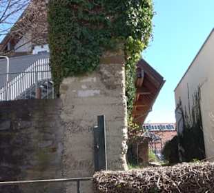 Backhaus am "Törlesrain"