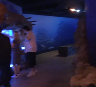 National Aquarium Malta