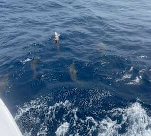 Schnorcheln Marsa Alam