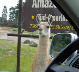 Serengeti Park Hodenhagen