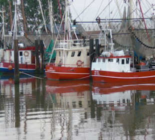 Der Hafen von Fedderwardersiel