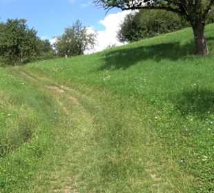 Hochgehnießen - Premiumspazierwanderweg