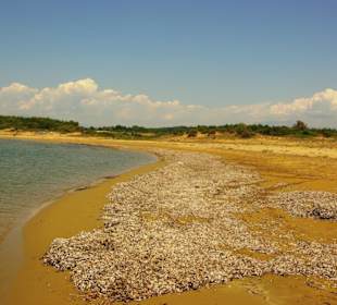 Am Strand entlang