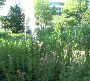 Seegarten-Anlage / Kurfürsten-Anlage