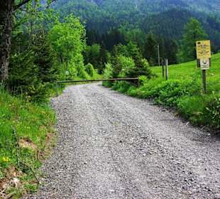 Zum Grünsee Fußweg