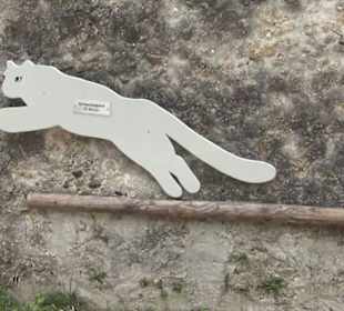 Eurasienbereich - Sprünge der Tiere