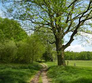 Naturschutzgebiet Boberger Niederung