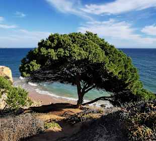 Strand Olhos de Água