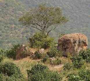 Tsavo West Nationalpark