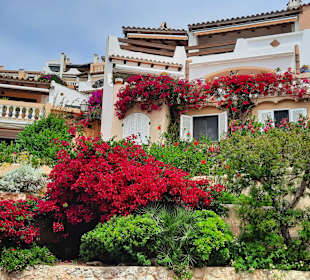 Stadtrundgang Peguera