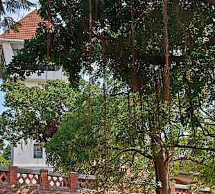 Anping Old Fort Zeelandia