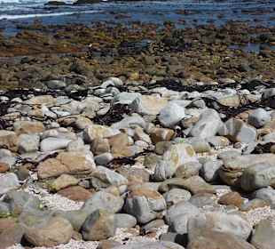 Kap der Guten Hoffnung