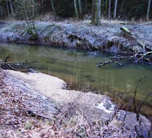 Niedrigwasser in der Schwarzach