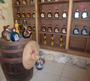 Tequila Verkostung und verkauf