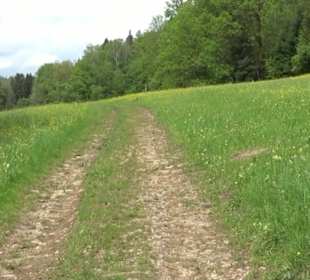 Naturpark Schönbuch