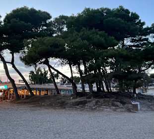 Strand Playa/Platja de Muro