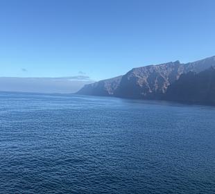 Ausblick