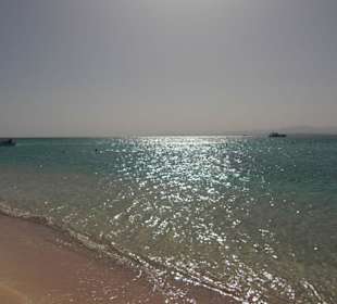 Auf der Giftun Insel (Schnorcheltour)