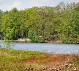 Heide grenzt an das Ufer der Talsperre