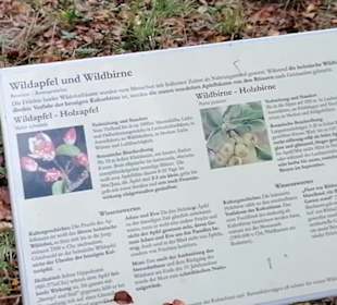 Schaugarten Eninger Weide