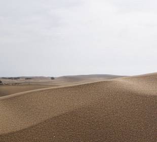 Dünen von Maspalomas