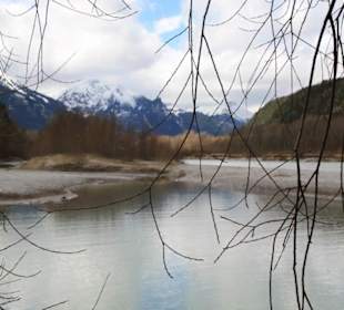 Walderlebniszentrum Ziegelwies