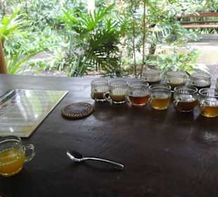 Tee- & Kaffeeverkostung 