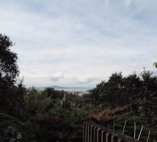 Eden Garden ein Paradies mitten in der Stadt