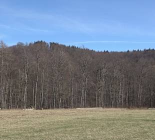 Bolberg Willmandingen