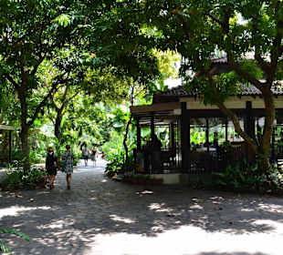 Botanischer Garten Singapur