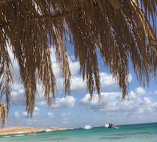 Giftun / Mahmya Inseln