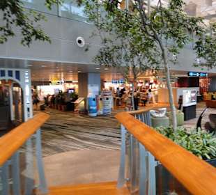 Changi airport